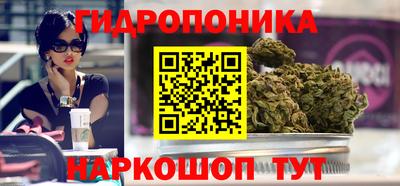 мяу мяу мука Свободный