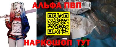 сатива Славгород